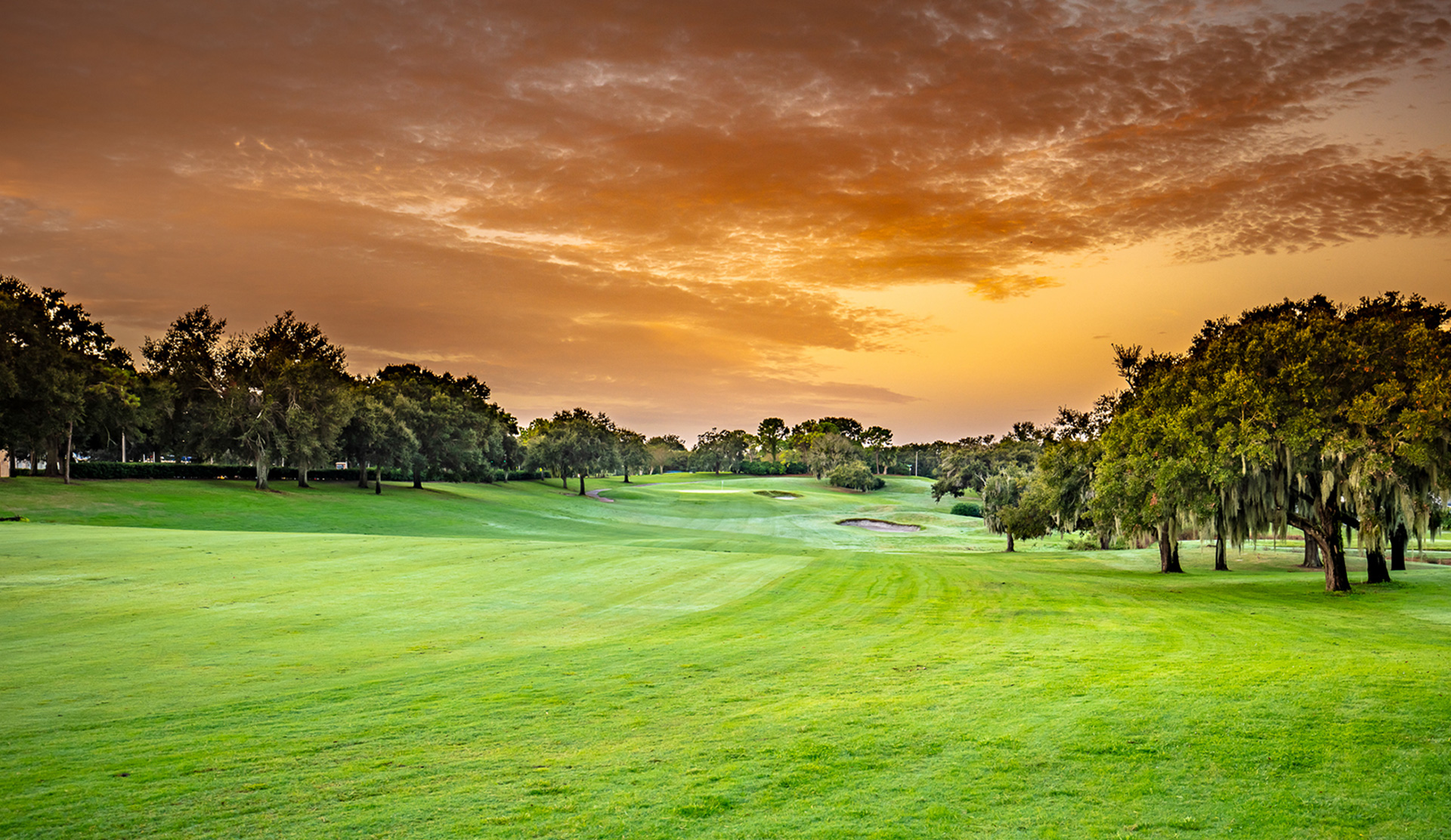 Golf Courses in Orlando, FL  MetroWest Golf Club & Golf Lessons